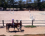 Horse Camp