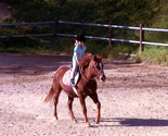 Horse Camp