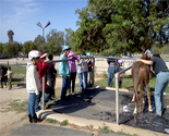 Watching Mrs. Peck give Cinnamon the rescue pony a much needed bath!