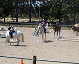Summer camp students in the ring