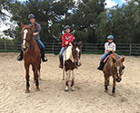 Camp students with Peck Farm's Jack, Cheyanne, and Buddy