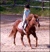 Riding Camps