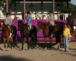 Typical adult group lesson on Peck Farm horses