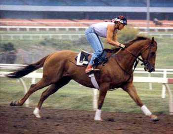 Nance and Verbalpleasure, Santa Anita Racetrack 1987