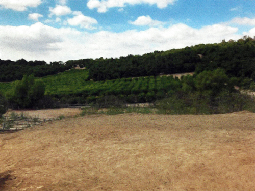 Orchards