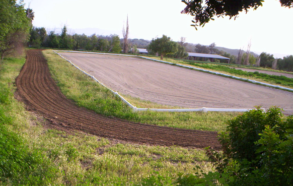 Dressage Arena