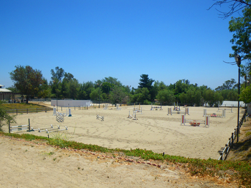 Lighted Jumping Ring